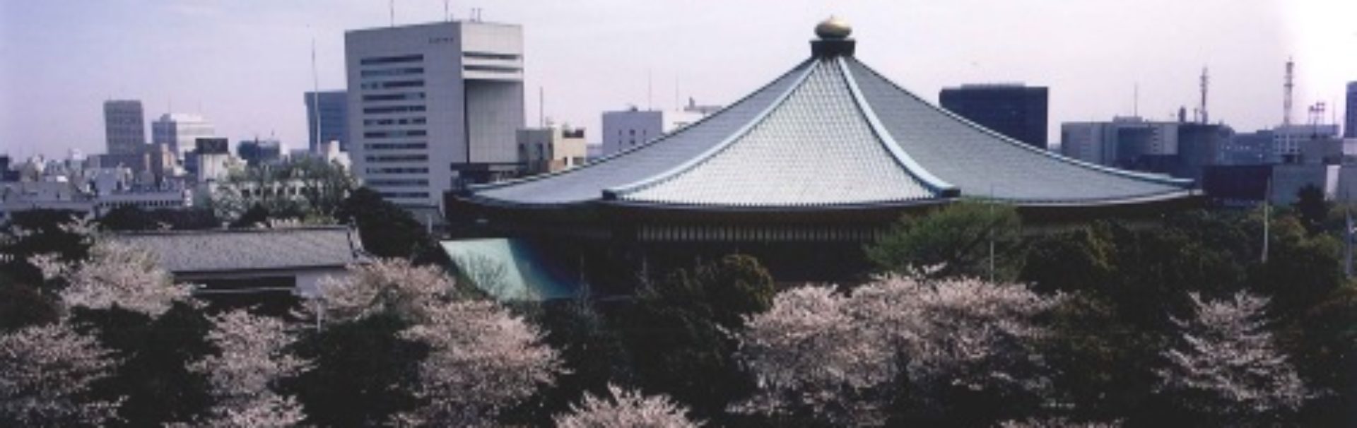 株式会社山田守建築事務所